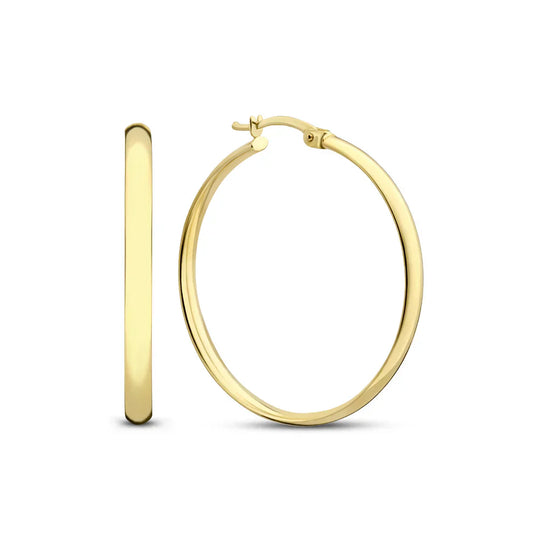Serane™ | 14K Gouden Oorbellen